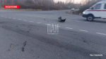 Две машины столкнулись в Псковском округе