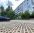 Фото: ПАИ - InformPskov.Ru