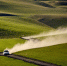 Фото: SportMediaTeam - InformPskov.Ru