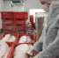 Более 11 тысяч тонн животноводческой продукции экспортировали из Псковской области с начала года - Псковская правда