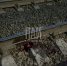 Фото здесь и далее: ПАИ - InformPskov.Ru