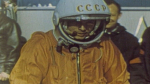 https//i.ibb.co/6RNdcvtk/image.png