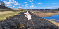 От огня «отбили» кладбище и лес возле Городищенского озера в Изборске - Pln-Pskov.Ru