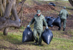 Порядка 350 кубометров листвы и веток собрали участники субботника у Гремячей башни в Пскове