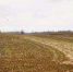 Аграрии Псковского округа начали полевой сезон - Pln-Pskov.Ru