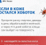Как защититься от клеща - InformPskov.Ru