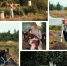 Фото: Археологический центр Псковской области - InformPskov.Ru