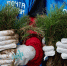 Фото предоставлено УФПС Псковской области - InformPskov.Ru
