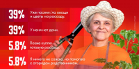 Почти 40% респондентов ПЛН уже посеяли овощи и цветы на рассаду - Pln-Pskov.Ru