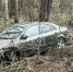 Фото: ПАИ - InformPskov.Ru