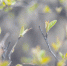 Фото: ПАИ - InformPskov.Ru