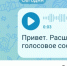 Мессенджер Max сменил название - Pln-Pskov.Ru