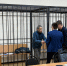 Суд продолжает рассматривать жалобу Льва Шлосберга* на назначение обязательных работ - Pln-Pskov.Ru