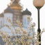 Фото: ПАИ - InformPskov.Ru