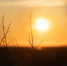 Фото: ПАИ - InformPskov.Ru
