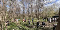 Более 1800 псковичей приняли участие в месяце чистоты - Pln-Pskov.Ru
