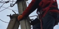 Скриншот видео из телеграм-канала «Россети Северо-Запад» - InformPskov.Ru