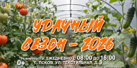 Ярмарка «Удачный сезон‑2026» откроется в Пскове 1 мая - Pln-Pskov.Ru
