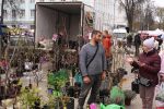 Более 300 производителей приняли участие в великолукской ярмарке