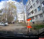 Фотофакт: Голый мужчина разгуливал по улице Красноармейской в Пскове