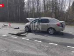 Разыскивается виновник ДТП на трассе в Пушкиногорском районе