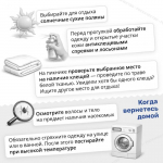Сезон клещей открыт: важные правила, которые нужно знать каждому