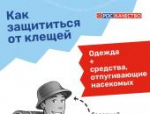 Роскачество опубликовало правила поведения в сезон клещей
