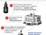 Роскачество опубликовало правила поведения в сезон клещей