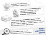 Роскачество опубликовало правила поведения в сезон клещей