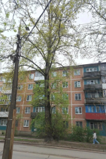 Фото: администрация Пскова