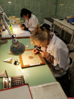 Доля элитных семян растет у псковских сельхозтоваропроизводителей