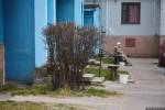 Фото: ПАИ