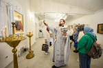 DSC_6421