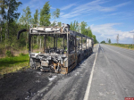 Автобус полностью сгорел на федеральной трассе Петербург - Невель. ФОТО