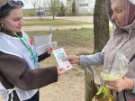 Более 3,4 тысяч жителей Островского округа проголосовали за территории для благоустройства на 2027 год