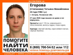 Женщину в коричневом платье разыскивают в Острове