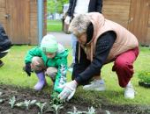 Акция «Цветы жизни» проходит во всех муниципалитетах Псковской области