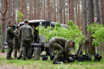 Вечно молодой: в Корытовском лесопарке посадили восемь тысяч саженцев