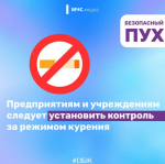 Тополиный пух, жара, июнь