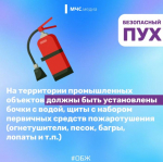 Тополиный пух, жара, июнь