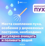 Тополиный пух, жара, июнь