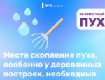 Тополиный пух, жара, июнь: псковичам напомнили о правилах безопасности