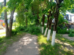 Новый облик Центральной площади в Красногородске