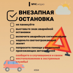 Путешествуй безопасно  с #МЧСПсков