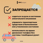 Путешествуй безопасно  с #МЧСПсков