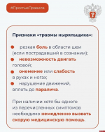 Что такое «травма ныряльщика», рассказали в Минздраве Псковской области