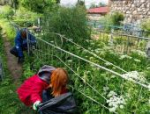 Волонтёры привели в порядок мемориал детям войны в Бежаницком районе