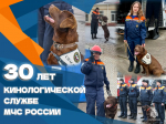 Фото здесь и далее: ГУ МЧС России по Псковской области
