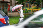 До +29 градусов и кратковременные дожди прогнозируют в Псковской области 21 июня