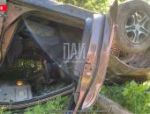 «Выпил и поехал искать свою собаку»: на трассе в Псковском районе опрокинулся автомобиль